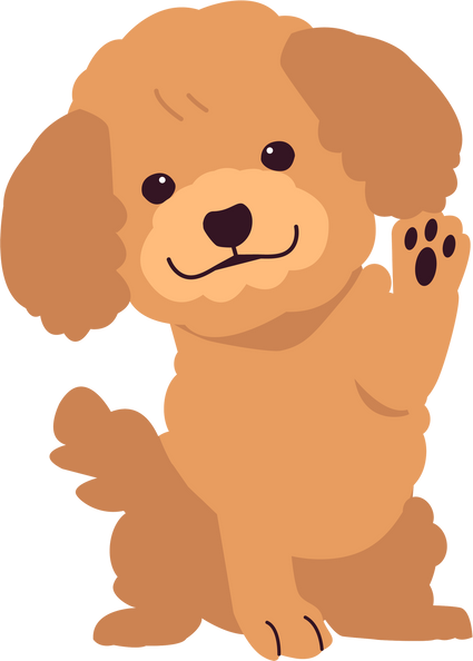 Poodle Puppy Illustration